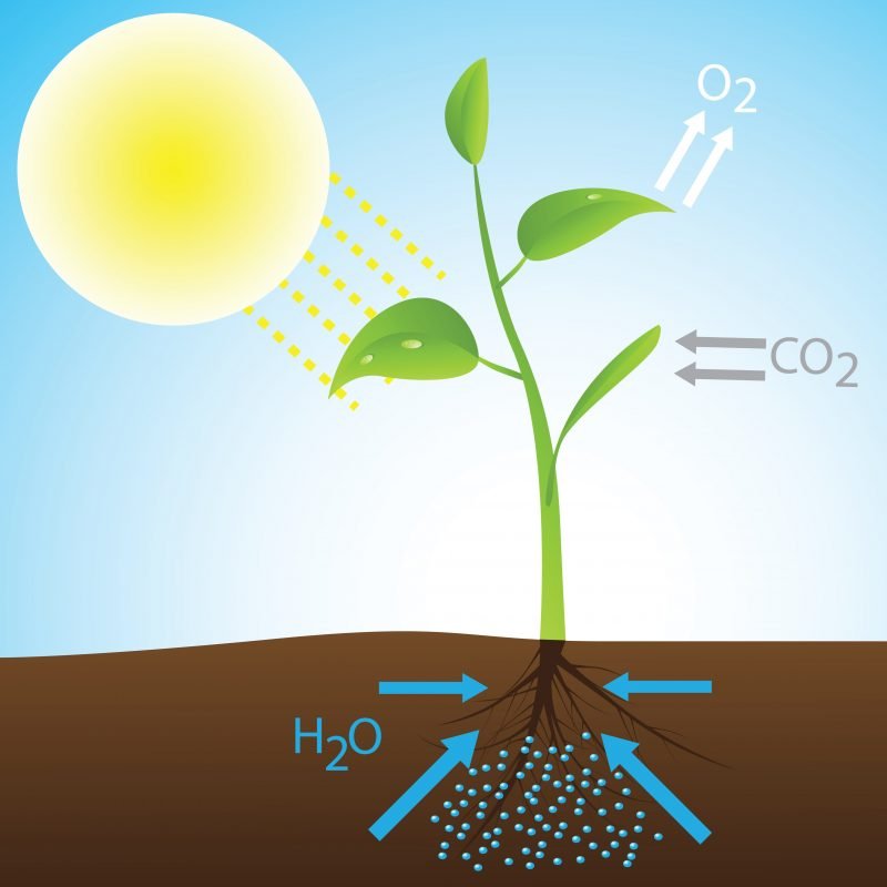 chemical energy