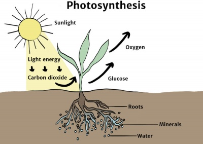 chemical energy