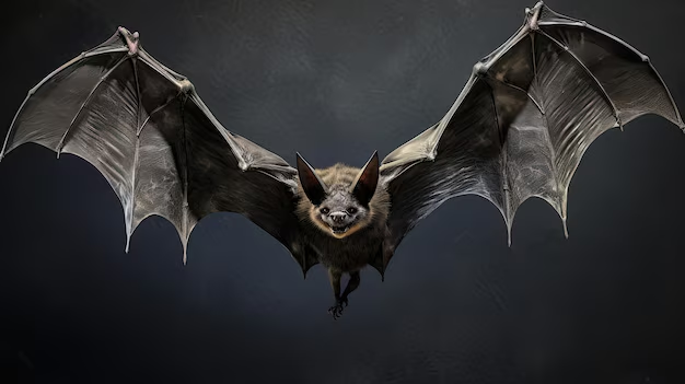 bat wings